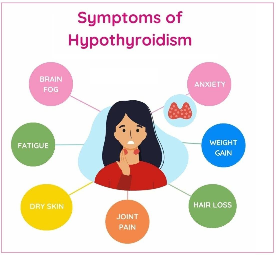 Common symptoms of Hashimoto's Thyroiditis including fatigue, weight gain, hair loss, dry skin, anxiety, and brain fog